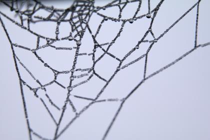 如何使用 GitHub 官网模板快速搭建个人项目展示页面